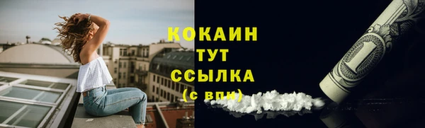 прущая мука Гусев