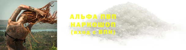 прущая мука Гусев