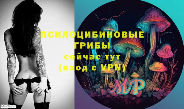 гашишное масло Гусь-Хрустальный