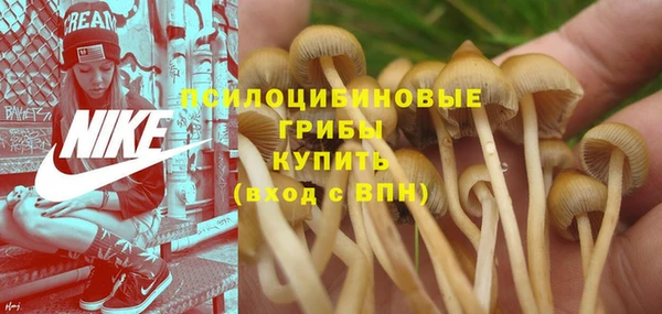 гашишное масло Гусь-Хрустальный